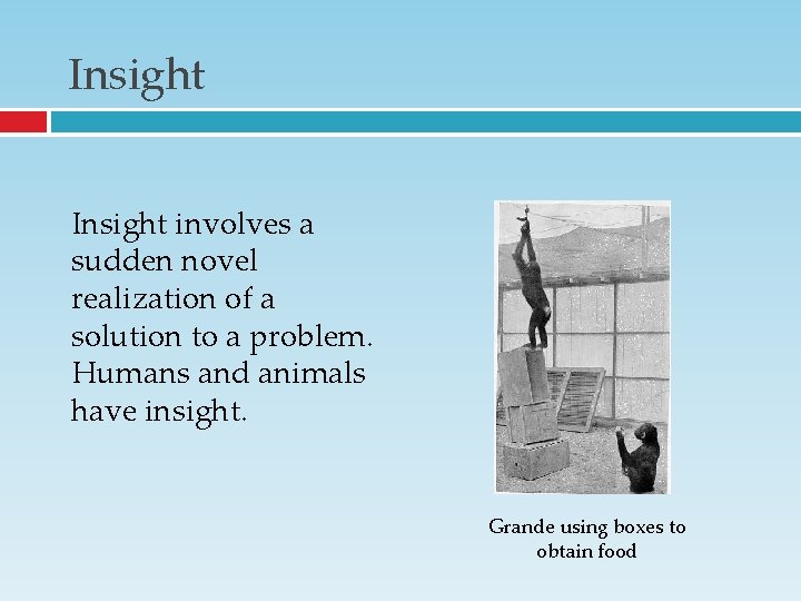 Insight involves a sudden novel realization of a solution to a problem. Humans and Insight involves a sudden novel realization of a solution to a problem. Humans and