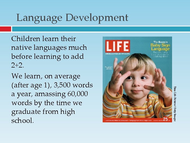 Language Development Time Life Pictures/ Getty Images Children learn their native languages much before Language Development Time Life Pictures/ Getty Images Children learn their native languages much before