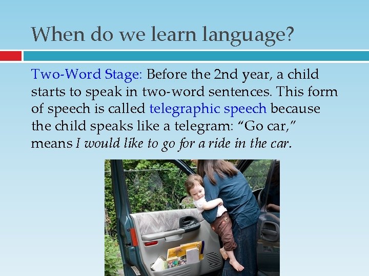 When do we learn language? Two-Word Stage: Before the 2 nd year, a child When do we learn language? Two-Word Stage: Before the 2 nd year, a child
