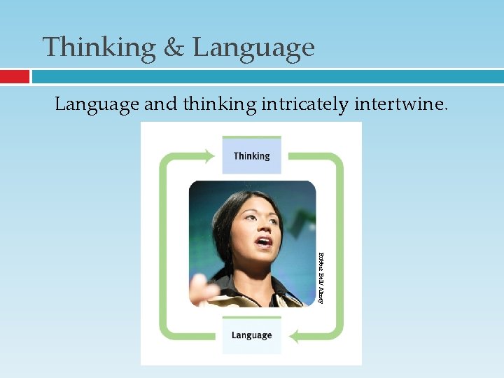 Thinking & Language and thinking intricately intertwine. Rubber Ball/ Almay Thinking & Language and thinking intricately intertwine. Rubber Ball/ Almay