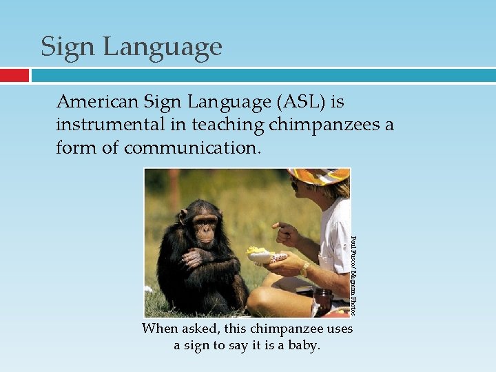 Sign Language American Sign Language (ASL) is instrumental in teaching chimpanzees a form of Sign Language American Sign Language (ASL) is instrumental in teaching chimpanzees a form of