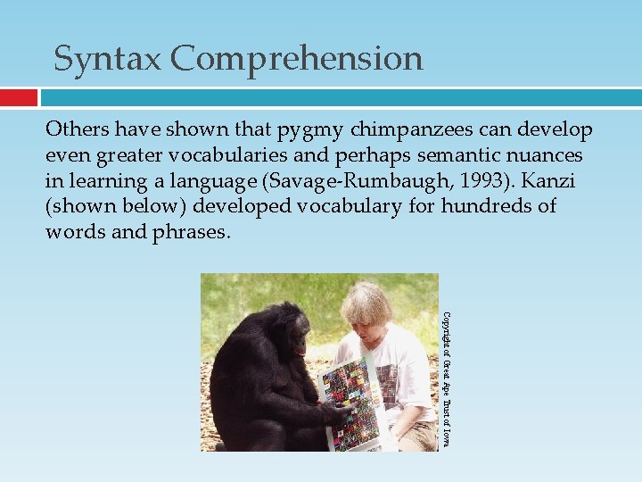 Syntax Comprehension Others have shown that pygmy chimpanzees can develop even greater vocabularies and Syntax Comprehension Others have shown that pygmy chimpanzees can develop even greater vocabularies and