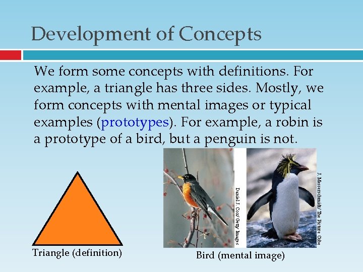Development of Concepts We form some concepts with definitions. For example, a triangle has Development of Concepts We form some concepts with definitions. For example, a triangle has