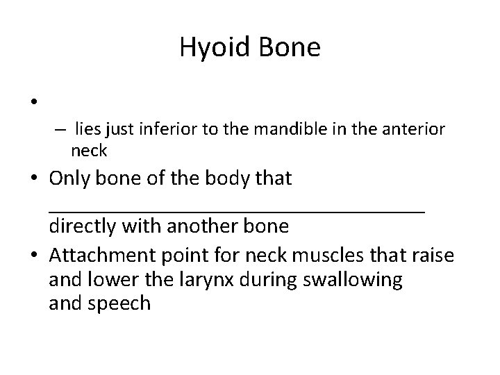Hyoid Bone • – lies just inferior to the mandible in the anterior neck