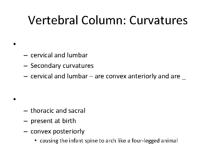 Vertebral Column: Curvatures • – cervical and lumbar – Secondary curvatures – cervical and