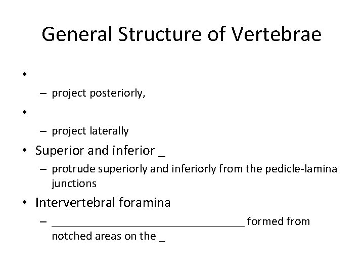 General Structure of Vertebrae • – project posteriorly, • – project laterally • Superior