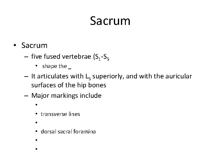 Sacrum • Sacrum – five fused vertebrae (S 1 -S 5 • shape the