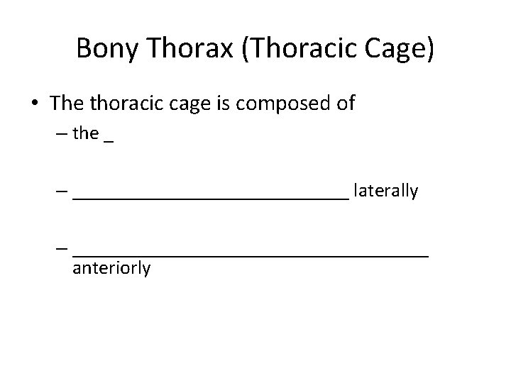 Bony Thorax (Thoracic Cage) • The thoracic cage is composed of – the _