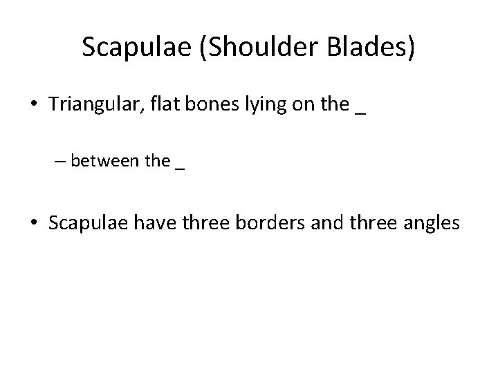 Scapulae (Shoulder Blades) • Triangular, flat bones lying on the _ – between the