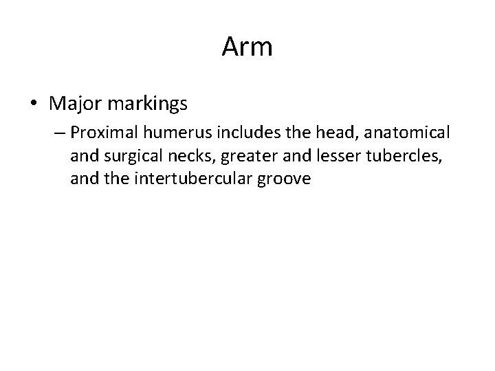 Arm • Major markings – Proximal humerus includes the head, anatomical and surgical necks,