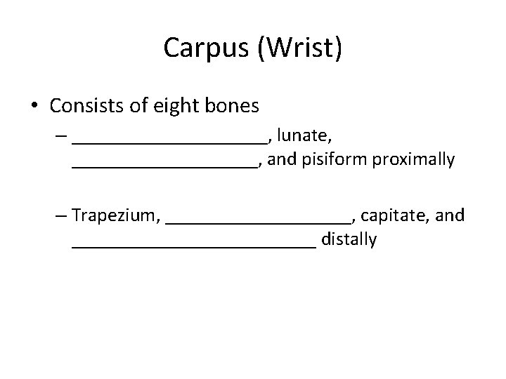 Carpus (Wrist) • Consists of eight bones – __________, lunate, __________, and pisiform proximally
