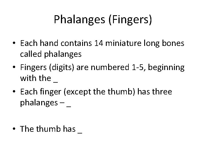 Phalanges (Fingers) • Each hand contains 14 miniature long bones called phalanges • Fingers
