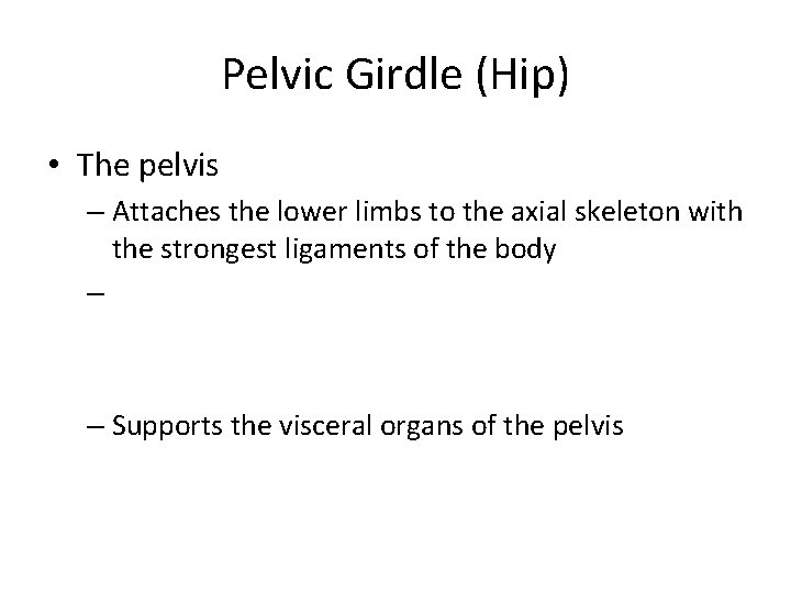 Pelvic Girdle (Hip) • The pelvis – Attaches the lower limbs to the axial