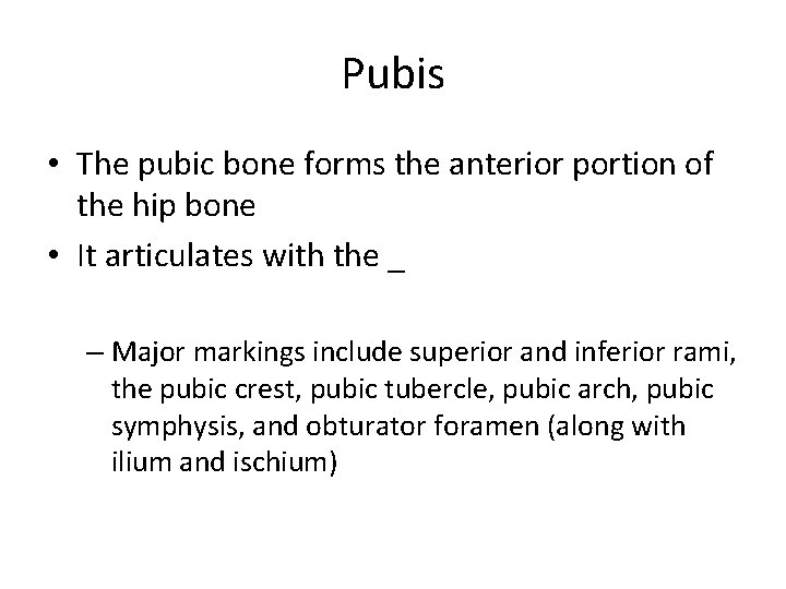Pubis • The pubic bone forms the anterior portion of the hip bone •