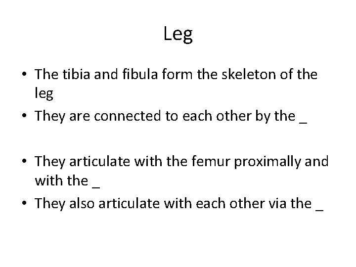 Leg • The tibia and fibula form the skeleton of the leg • They
