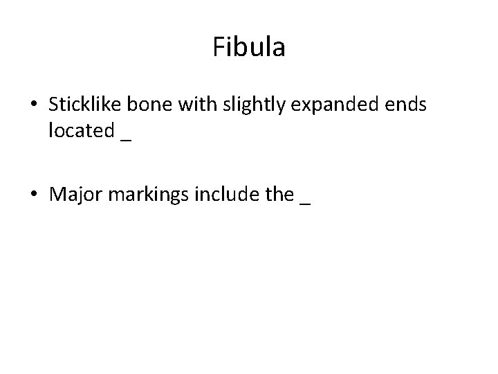 Fibula • Sticklike bone with slightly expanded ends located _ • Major markings include