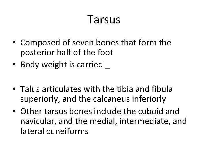 Tarsus • Composed of seven bones that form the posterior half of the foot