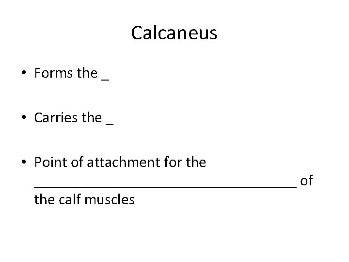 Calcaneus • Forms the _ • Carries the _ • Point of attachment for