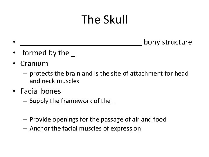 The Skull • _______________ bony structure • formed by the _ • Cranium –