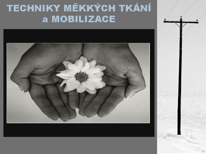 TECHNIKY MĚKKÝCH TKÁNÍ a MOBILIZACE 