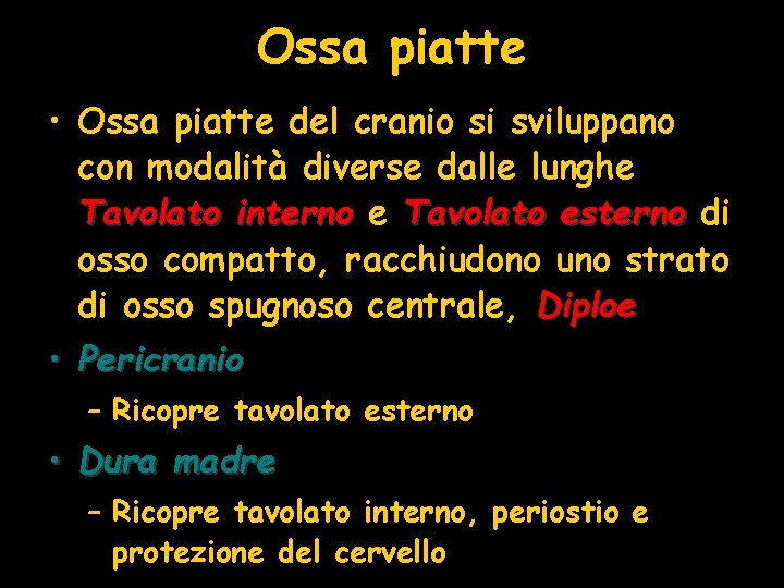Ossa piatte • Ossa piatte del cranio si sviluppano con modalità diverse dalle lunghe Ossa piatte • Ossa piatte del cranio si sviluppano con modalità diverse dalle lunghe