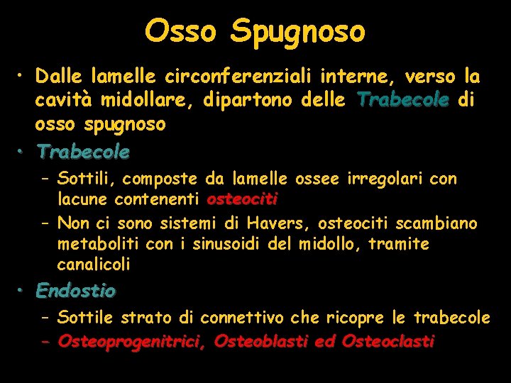 Osso Spugnoso • Dalle lamelle circonferenziali interne, verso la cavità midollare, dipartono delle Trabecole Osso Spugnoso • Dalle lamelle circonferenziali interne, verso la cavità midollare, dipartono delle Trabecole