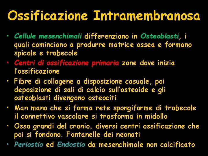 Ossificazione Intramembranosa • Cellule mesenchimali differenziano in Osteoblasti, Osteoblasti i quali cominciano a produrre Ossificazione Intramembranosa • Cellule mesenchimali differenziano in Osteoblasti, Osteoblasti i quali cominciano a produrre