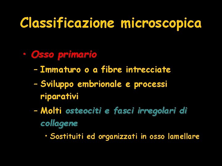 Classificazione microscopica • Osso primario – Immaturo o a fibre intrecciate – Sviluppo embrionale Classificazione microscopica • Osso primario – Immaturo o a fibre intrecciate – Sviluppo embrionale