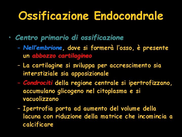 Ossificazione Endocondrale • Centro primario di ossificazione – Nell’embrione, Nell’embrione dove si formerà l’osso, Ossificazione Endocondrale • Centro primario di ossificazione – Nell’embrione, Nell’embrione dove si formerà l’osso,