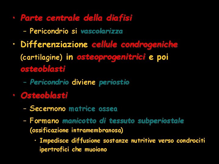 • Parte centrale della diafisi – Pericondrio si vascolarizza • Differenziazione cellule condrogeniche • Parte centrale della diafisi – Pericondrio si vascolarizza • Differenziazione cellule condrogeniche