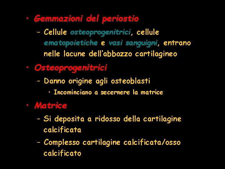 • Gemmazioni del periostio – Cellule osteoprogenitrici, osteoprogenitrici cellule ematopoietiche e vasi sanguigni, • Gemmazioni del periostio – Cellule osteoprogenitrici, osteoprogenitrici cellule ematopoietiche e vasi sanguigni,