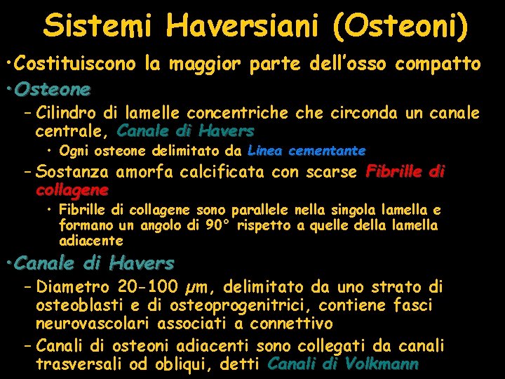 Sistemi Haversiani (Osteoni) • Costituiscono la maggior parte dell’osso compatto • Osteone – Cilindro Sistemi Haversiani (Osteoni) • Costituiscono la maggior parte dell’osso compatto • Osteone – Cilindro