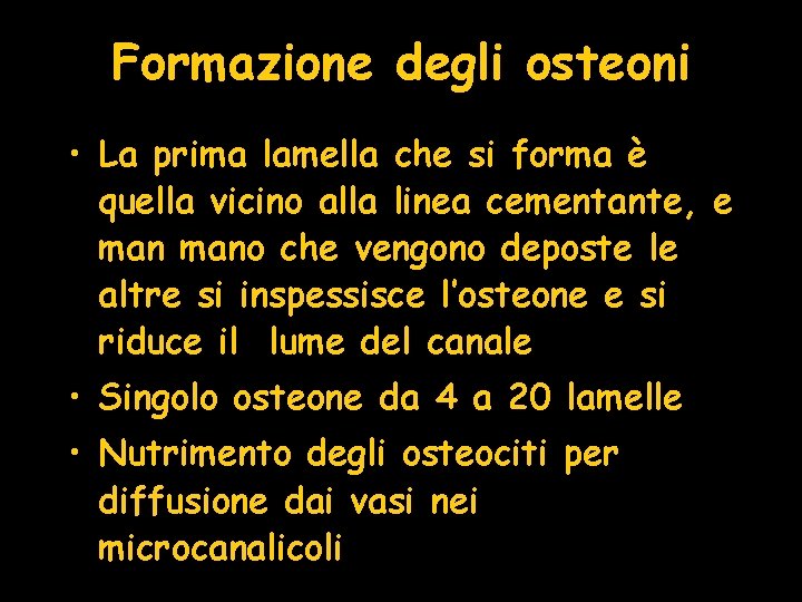 Formazione degli osteoni • La prima lamella che si forma è quella vicino alla Formazione degli osteoni • La prima lamella che si forma è quella vicino alla