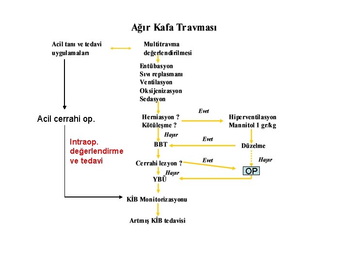 Acil cerrahi op. Intraop. değerlendirme ve tedavi OP 