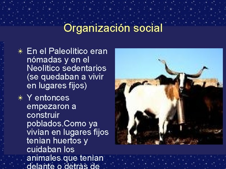Organización social ✴ En el Paleolítico eran nómadas y en el Neolítico sedentarios (se