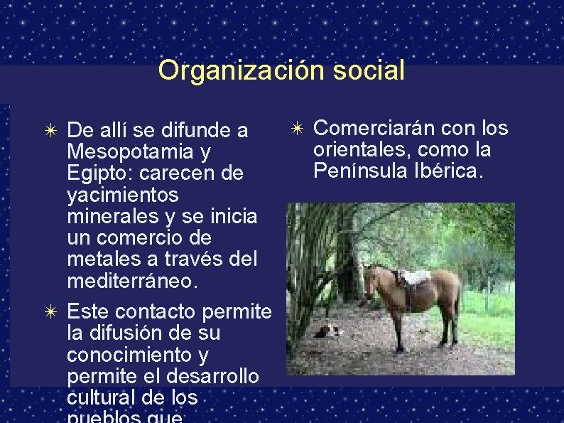 Organización social ✴ De allí se difunde a Mesopotamia y Egipto: carecen de yacimientos