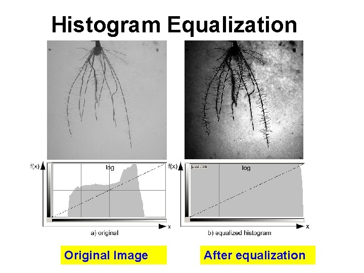 Histogram Equalization Original Image After equalization 