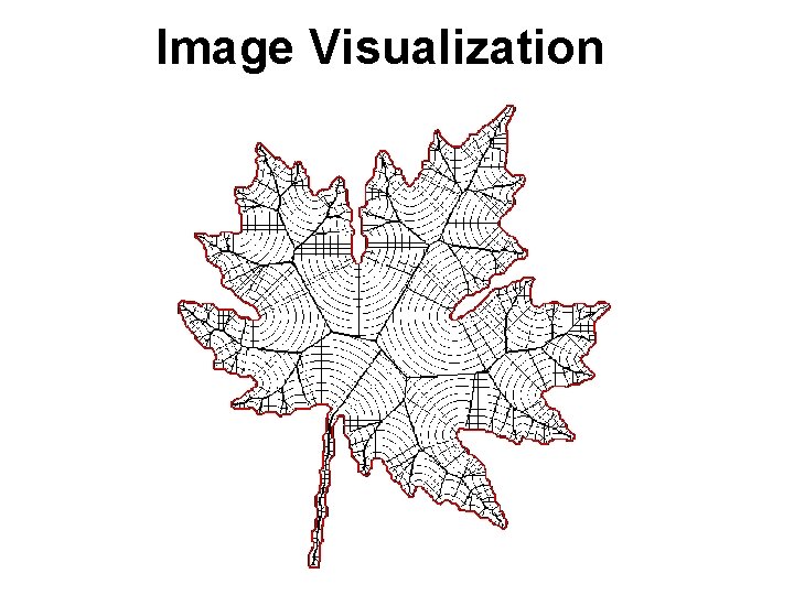 Image Visualization 