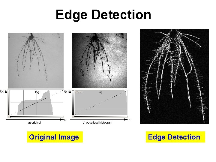 Edge Detection Original Image Edge Detection 