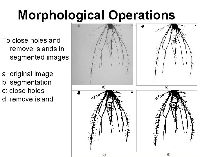 Morphological Operations To close holes and remove islands in segmented images a: original image