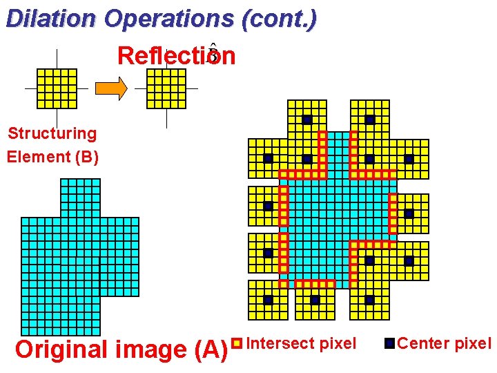 Dilation Operations (cont. ) Reflection Structuring Element (B) Original image (A) Intersect pixel Center