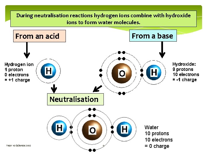 During neutralisation reactions hydrogen ions combine with hydroxide ions to form water molecules. From