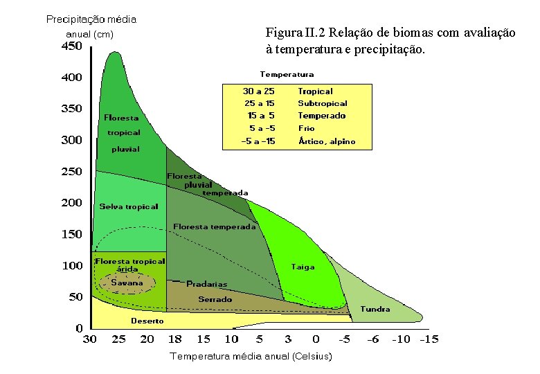 Figura II. 2 Relação de biomas com avaliação à temperatura e precipitação. 