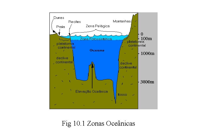 Fig 10. 1 Zonas Oceânicas 