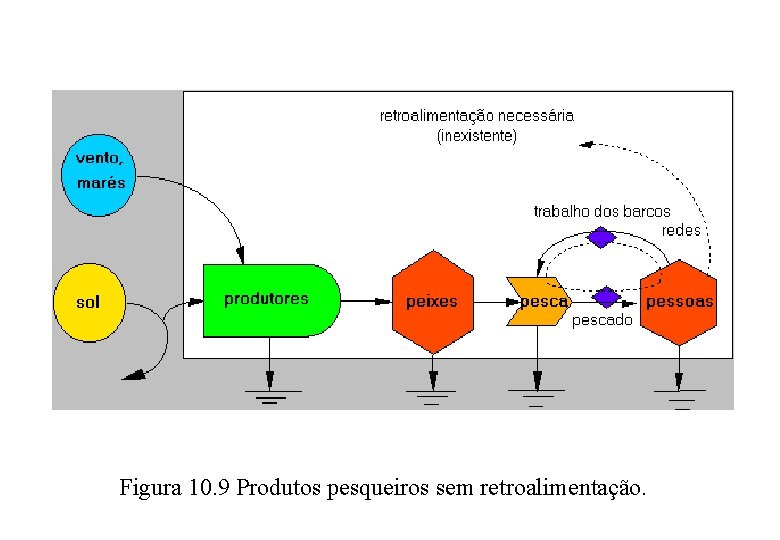 Figura 10. 9 Produtos pesqueiros sem retroalimentação. 