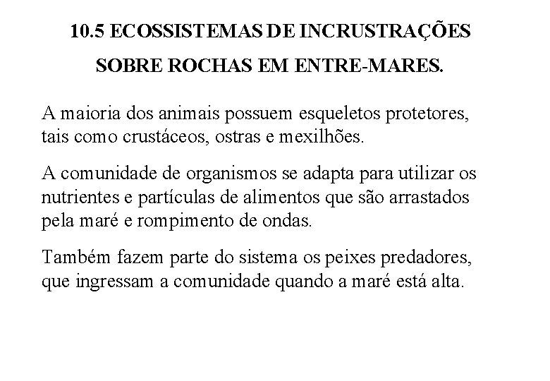 10. 5 ECOSSISTEMAS DE INCRUSTRAÇÕES SOBRE ROCHAS EM ENTRE-MARES. A maioria dos animais possuem