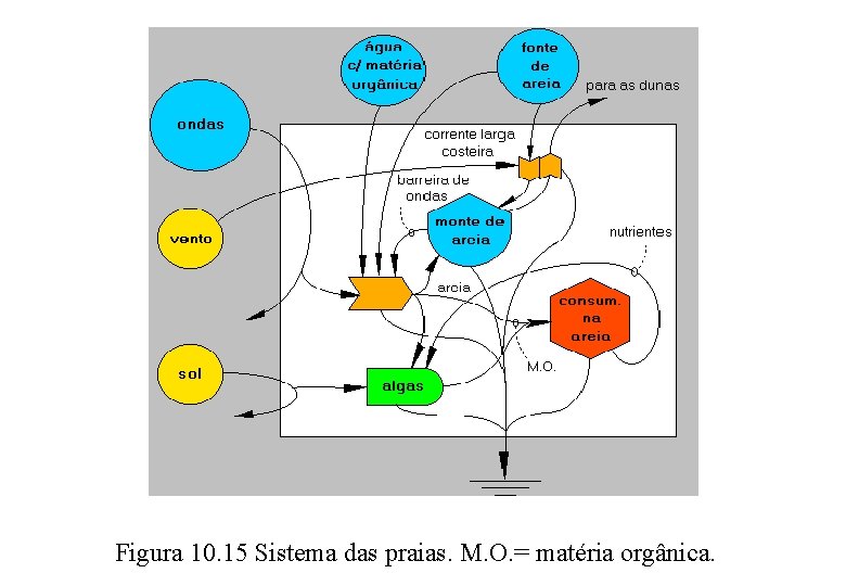 Figura 10. 15 Sistema das praias. M. O. = matéria orgânica. 