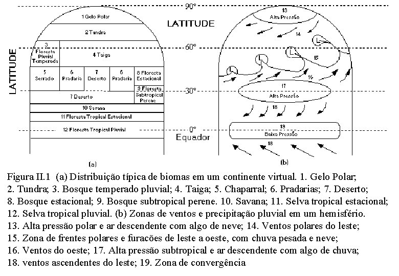Figura II. 1 (a) Distribuição típica de biomas em um continente virtual. 1. Gelo