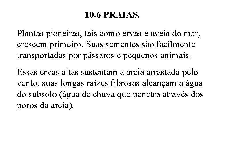 10. 6 PRAIAS. Plantas pioneiras, tais como ervas e aveia do mar, crescem primeiro.