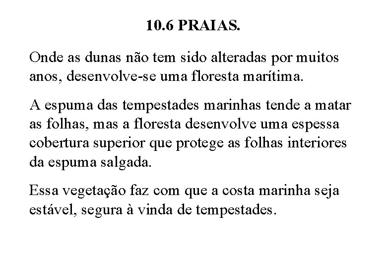 10. 6 PRAIAS. Onde as dunas não tem sido alteradas por muitos anos, desenvolve-se